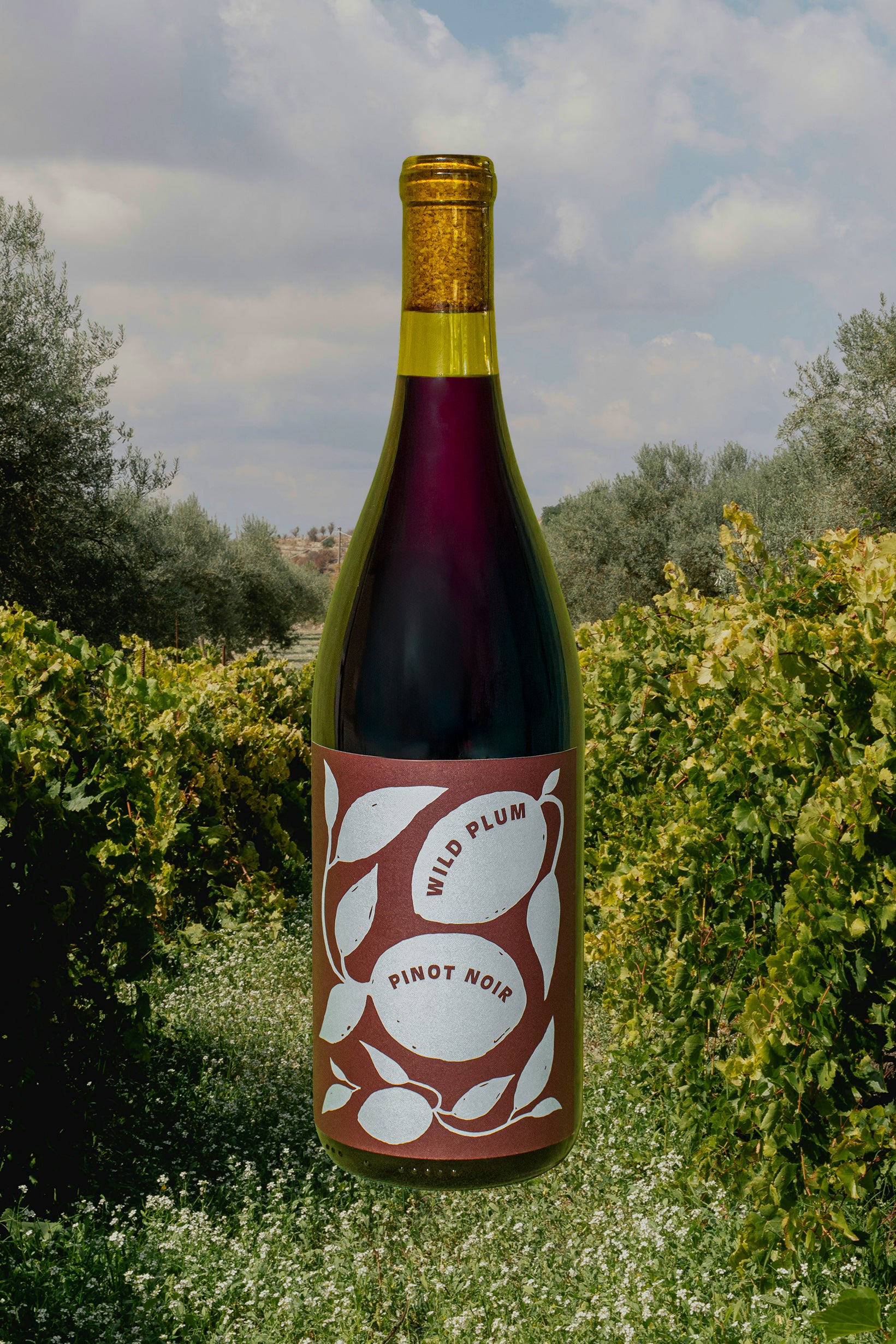 2024 Wild Plum Pinot Noir Sonoma Coast Carneros