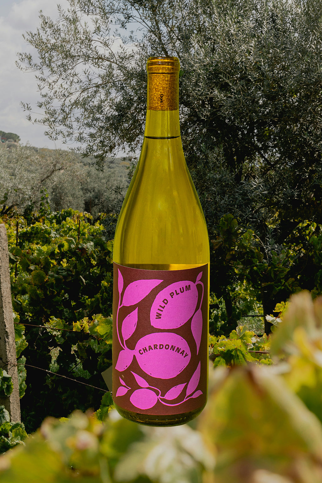 2024 Wild Plum Chardonnay Sonoma Coast Carneros